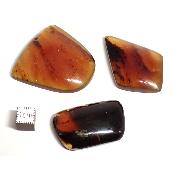 Ambre de Sumatra - plaque/cabochon