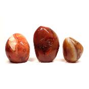 Cornaline - Forme libre n°04 (Lot de 3 pièces)