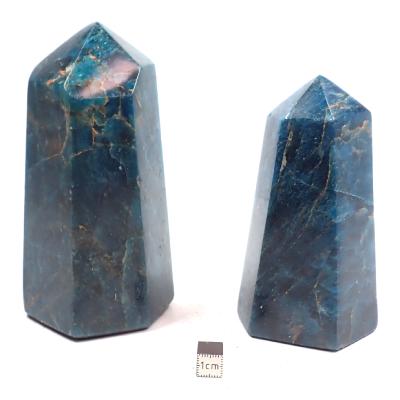 Apatite Bleue - Pointe Unique Polie n°02 ( Lot de 2 pièces )