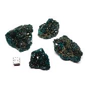 Dioptase - Lot n°02 - Pierre Brute