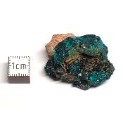Dioptase - Pierre Brute n°10 (Lot de 6 pièces)