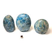 Apatite Bleue - Lot n°02 - Forme libre