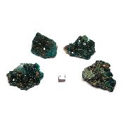 Dioptase - Pierre Brute n°05 (Lot de 4 pièces)