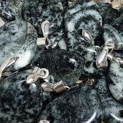 Diorite Orbiculaire - pendentif mini pierre plate