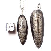 Orthoceras - Pendentif fossile