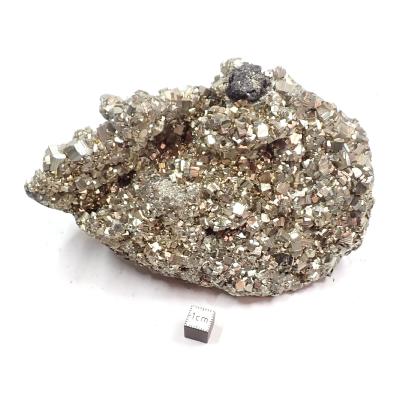 Pyrite  Lot n°04 - Pierre Brute 