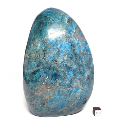 Apatite Bleue - Forme libre n°15554 ( Lot de 1 pièce )