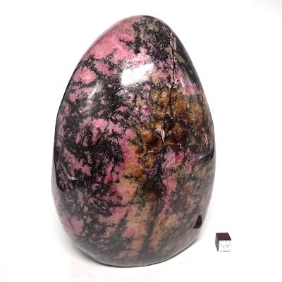 Rhodonite - Forme libre n°15570 ( Lot de 1 pièce )