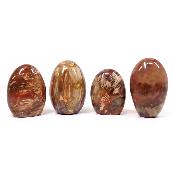 Bois Fossile - Forme libre n°04 (Lot de 4 pièces)