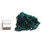 Dioptase - Pierre Brute n°10 (Lot de 6 pièces)