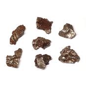 Météorite de Sikhot-Aline - Pierre Brute n°07  (Lot de 7 pièces)