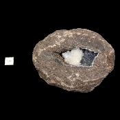 Zéolite - pierre brute n°12 (Lot de 11 pièces)