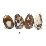 Agate Naturelle - Forme libre n°06 ( Lot de 4 pièces ) 