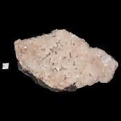 Zéolite - pierre brute n°12 (Lot de 11 pièces)