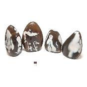 Agate Naturelle - Lot n°02 - Forme libre