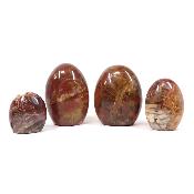 Bois Fossile - Forme libre n°02 (Lot de 4 pièces)