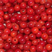 Corail Rouge - perles