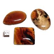 Ambre de Sumatra - plaque/cabochon