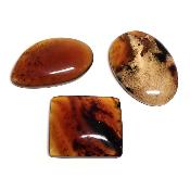 Ambre de Sumatra - plaque/cabochon