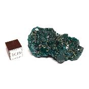 Dioptase - Lot n°01 - Pierre Brute