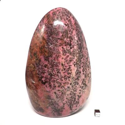 Rhodonite - Forme libre n°15569 ( Lot de 1 pièce )