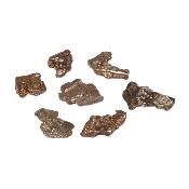 Météorite de Sikhot-Aline - Pierre Brute n°05  (Lot de 7 pièces)