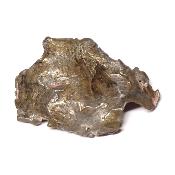 Météorite de Sikhot-Aline - Pierre Brute n°10  (Lot de 1 pièce)