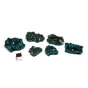 Dioptase - Lot n°01 - Pierre Brute