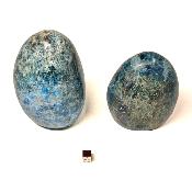 Apatite Bleue - Lot n°08 - Forme libre