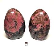 Rhodonite - Lot n°06 - Forme libre