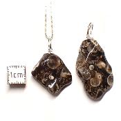 Agate Fossile ou Turritelle - Pendentif pierre roulée