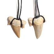 Dent de Requin - Pendentif Fossile